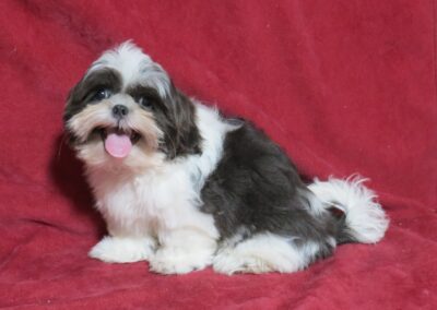 Oscar